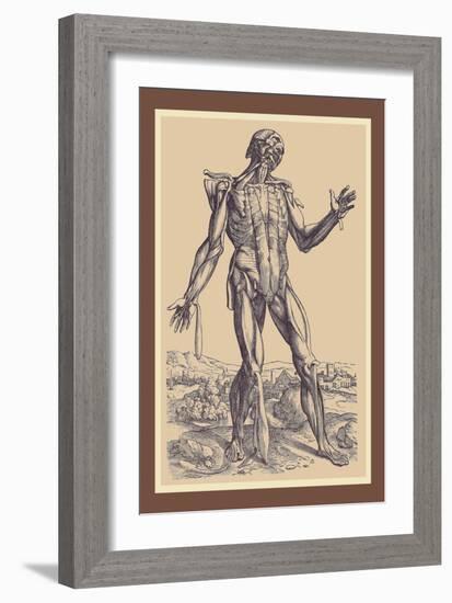 The Fifth Plate of the Muscles-Andreas Vesalius-Framed Art Print