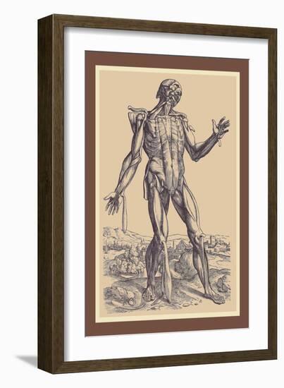 The Fifth Plate of the Muscles-Andreas Vesalius-Framed Art Print