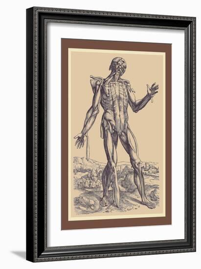 The Fifth Plate of the Muscles-Andreas Vesalius-Framed Art Print