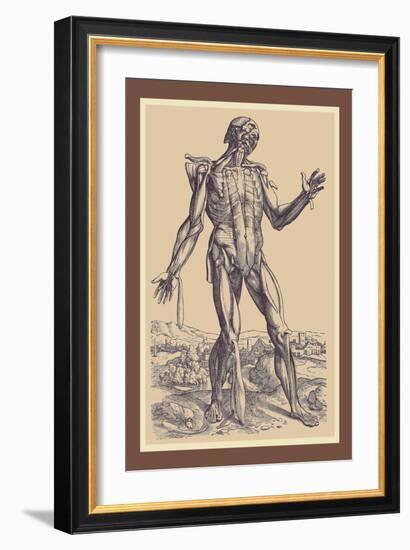 The Fifth Plate of the Muscles-Andreas Vesalius-Framed Art Print