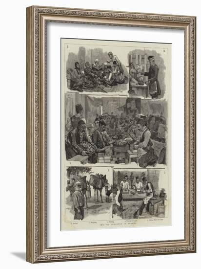 The Fig Industry in Smyrna-null-Framed Giclee Print