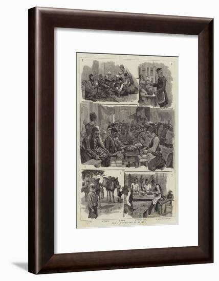 The Fig Industry in Smyrna-null-Framed Giclee Print