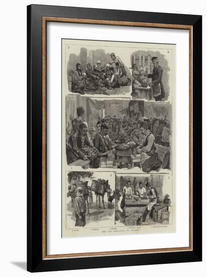 The Fig Industry in Smyrna-null-Framed Giclee Print