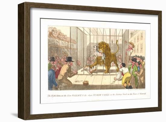 The Fight Between the Lion Wallace and the Dogs Tinker and Ball in the Factory Yard-Theodore Lane-Framed Giclee Print