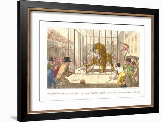 The Fight Between the Lion Wallace and the Dogs Tinker and Ball in the Factory Yard-Theodore Lane-Framed Giclee Print