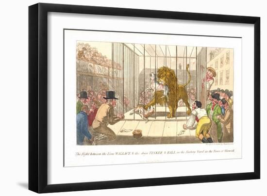 The Fight Between the Lion Wallace and the Dogs Tinker and Ball in the Factory Yard-Theodore Lane-Framed Giclee Print