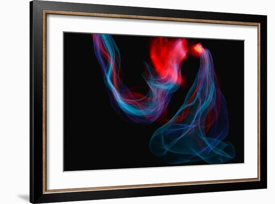 The Fight II-Heidi Westum-Framed Photographic Print