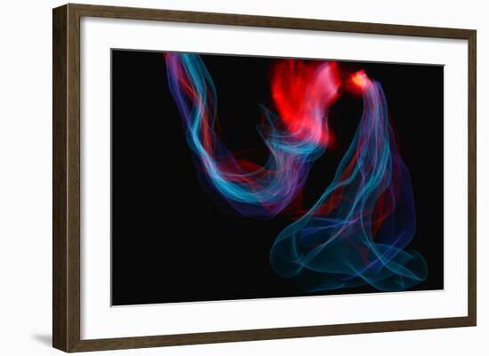 The Fight II-Heidi Westum-Framed Photographic Print