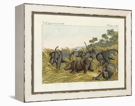 The Fight of the Rhinoceros with the Elefants-null-Framed Premier Image Canvas