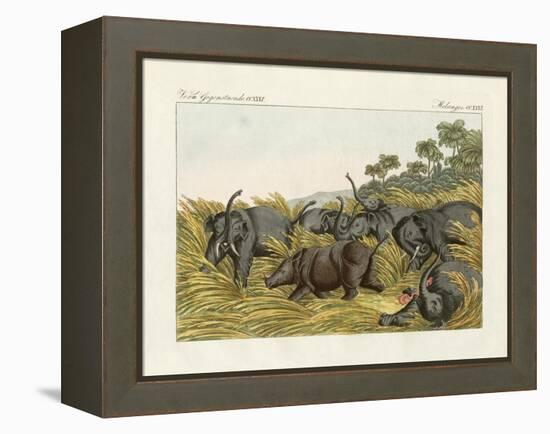 The Fight of the Rhinoceros with the Elefants-null-Framed Premier Image Canvas