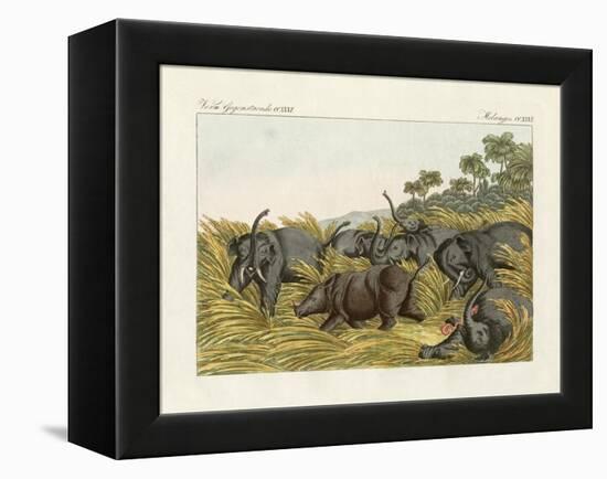 The Fight of the Rhinoceros with the Elefants-null-Framed Premier Image Canvas