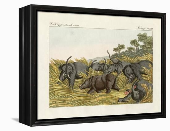 The Fight of the Rhinoceros with the Elefants-null-Framed Premier Image Canvas