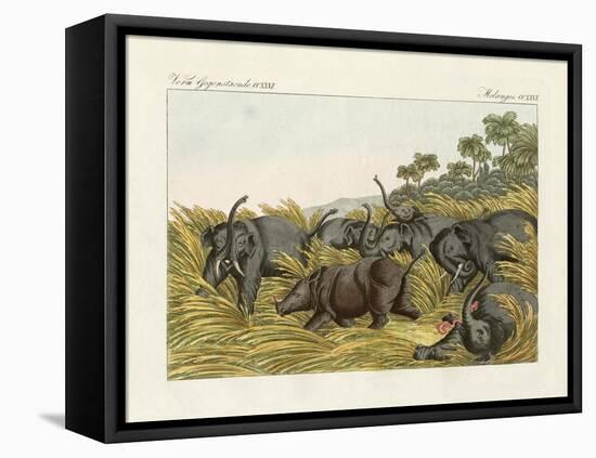 The Fight of the Rhinoceros with the Elefants-null-Framed Premier Image Canvas