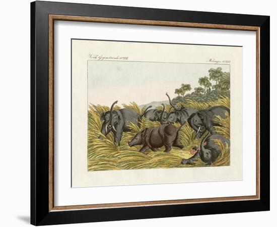 The Fight of the Rhinoceros with the Elefants-null-Framed Giclee Print