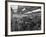 The Final Process of Bottling Beer, Ward and Sons Bottling Plant, Swinton, South Yorkshire, 1960-Michael Walters-Framed Photographic Print