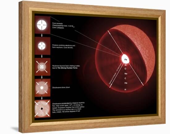 The Final Stages of the Life of a Massive Star, Which Will Go Supernova-Stocktrek Images-Framed Premier Image Canvas