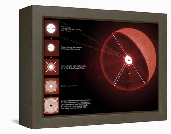 The Final Stages of the Life of a Massive Star, Which Will Go Supernova-Stocktrek Images-Framed Premier Image Canvas