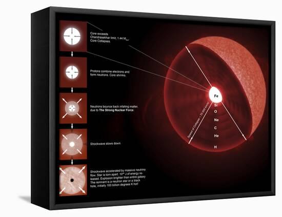 The Final Stages of the Life of a Massive Star, Which Will Go Supernova-Stocktrek Images-Framed Premier Image Canvas