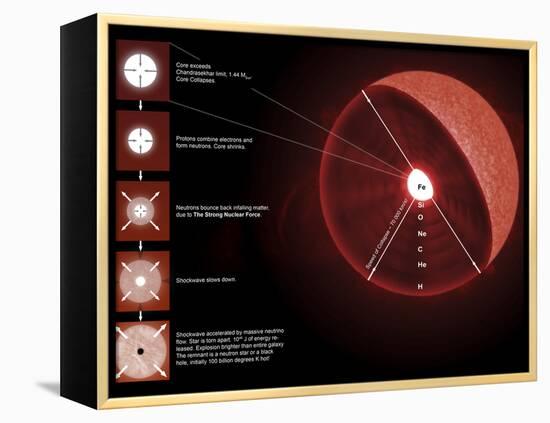 The Final Stages of the Life of a Massive Star, Which Will Go Supernova-Stocktrek Images-Framed Premier Image Canvas