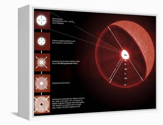 The Final Stages of the Life of a Massive Star, Which Will Go Supernova-Stocktrek Images-Framed Premier Image Canvas