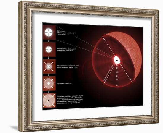 The Final Stages of the Life of a Massive Star, Which Will Go Supernova-Stocktrek Images-Framed Photographic Print