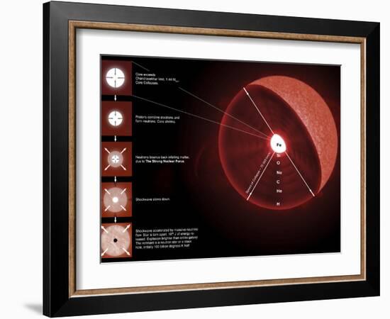 The Final Stages of the Life of a Massive Star, Which Will Go Supernova-Stocktrek Images-Framed Photographic Print