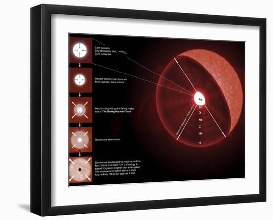 The Final Stages of the Life of a Massive Star, Which Will Go Supernova-Stocktrek Images-Framed Photographic Print