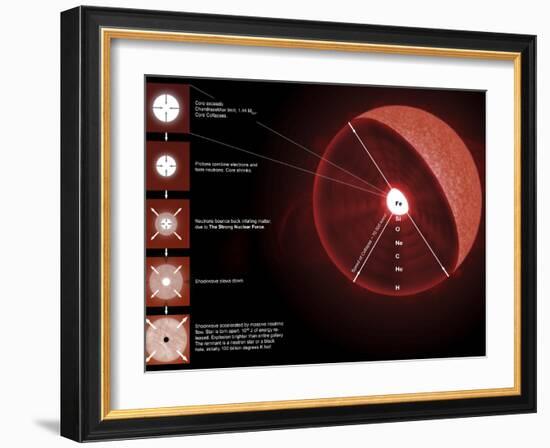 The Final Stages of the Life of a Massive Star, Which Will Go Supernova-Stocktrek Images-Framed Photographic Print