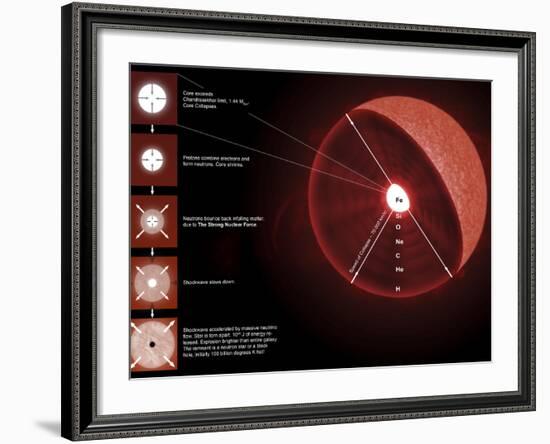 The Final Stages of the Life of a Massive Star, Which Will Go Supernova-Stocktrek Images-Framed Photographic Print