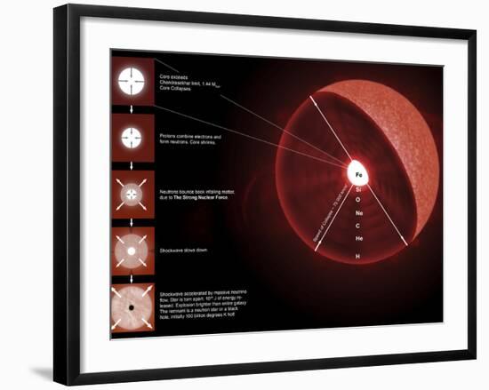 The Final Stages of the Life of a Massive Star, Which Will Go Supernova-Stocktrek Images-Framed Photographic Print