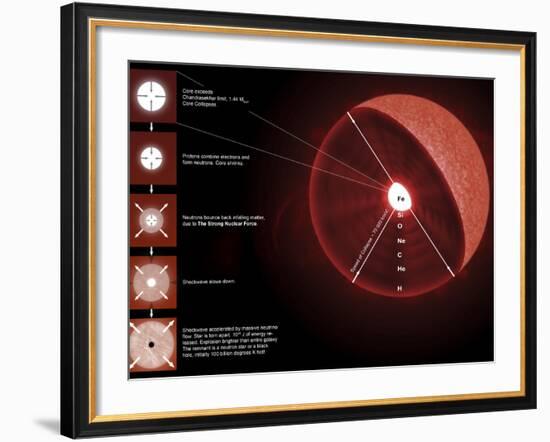 The Final Stages of the Life of a Massive Star, Which Will Go Supernova-Stocktrek Images-Framed Photographic Print