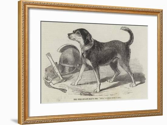 The Fire-Escape-Men's Dog Bill-null-Framed Giclee Print