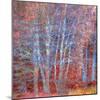 The Fire Forest-Doug Chinnery-Mounted Photographic Print