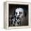 The Firemans Dog Dalmatian-Jai Johnson-Framed Premier Image Canvas