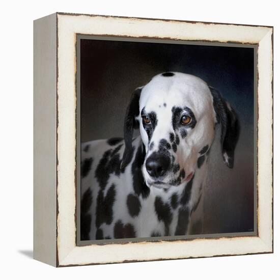 The Firemans Dog Dalmatian-Jai Johnson-Framed Premier Image Canvas