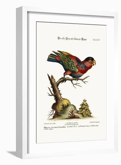 The First Black-Capped Lory, 1749-73-George Edwards-Framed Giclee Print