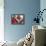 The First Blush of Spring-Aleta Pippin-Framed Premier Image Canvas displayed on a wall