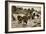 The First British Troops Disembark from the Specially Designed Landing Ladders-English Photographer-Framed Giclee Print