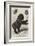 The First Gorilla Brought Alive to Europe-null-Framed Giclee Print