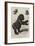 The First Gorilla Brought Alive to Europe-null-Framed Giclee Print