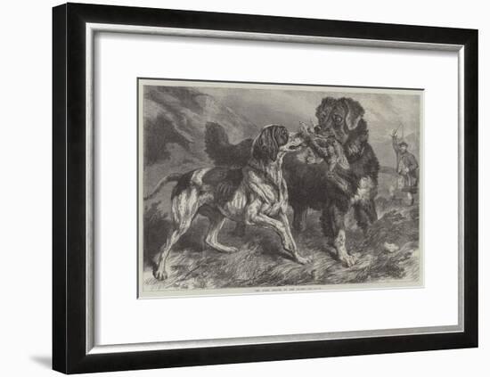 The First Grouse of the Season-Samuel John Carter-Framed Giclee Print