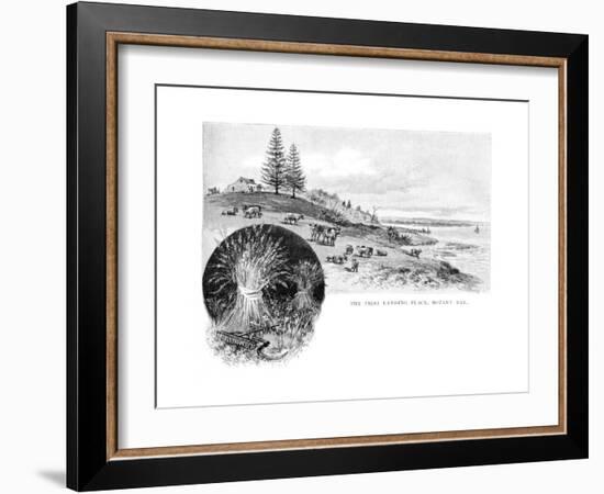 The First Landing Place, Botany Bay, New South Wales, Australia, 1886-W Macleod-Framed Giclee Print