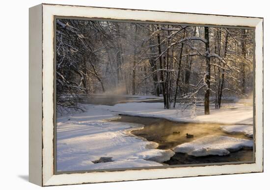 The First Light-Robin Eriksson-Framed Premier Image Canvas