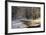 The First Light-Robin Eriksson-Framed Photographic Print