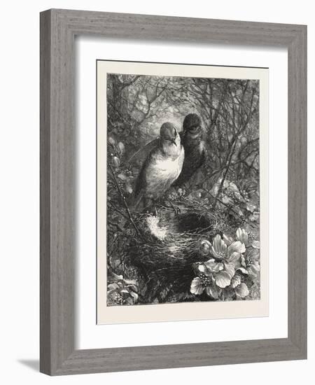 The First Nest, 1876, Bird, Birds, Spring, Nature-null-Framed Giclee Print