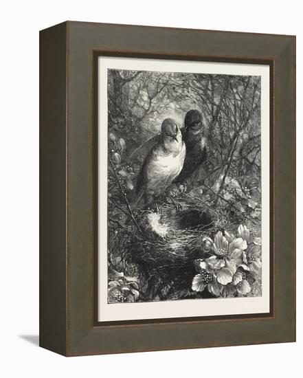 The First Nest, 1876, Bird, Birds, Spring, Nature-null-Framed Premier Image Canvas