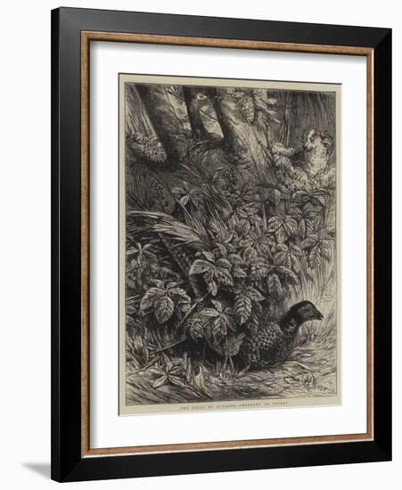 The First of October, Pheasant in Covert-Harrison William Weir-Framed Giclee Print