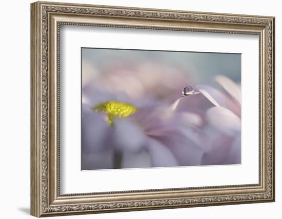 The first or the last-Heidi Westum-Framed Photographic Print