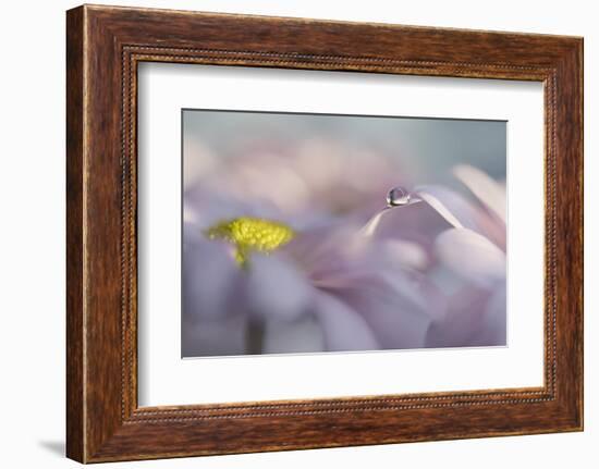 The first or the last-Heidi Westum-Framed Photographic Print