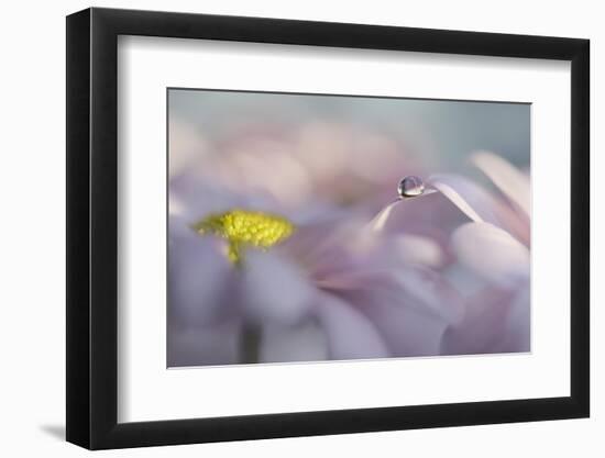 The first or the last-Heidi Westum-Framed Photographic Print